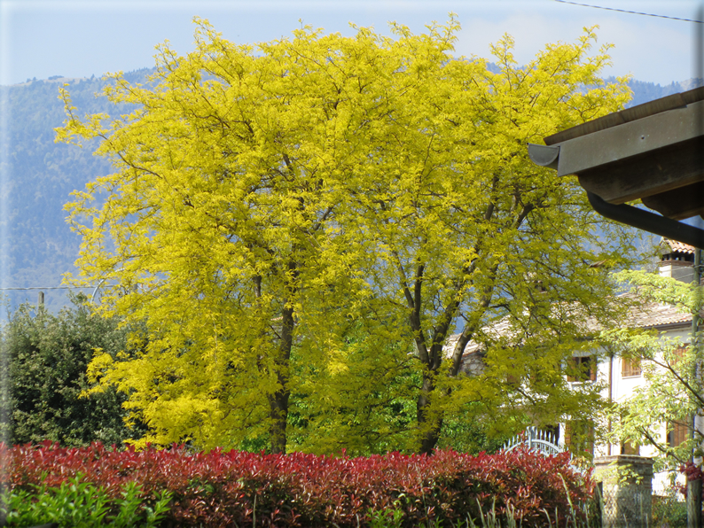 foto Paesaggi Collinari in Primavera